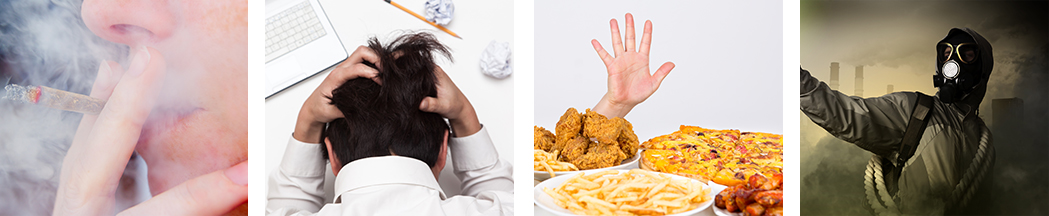 만성질환 원인 이미지